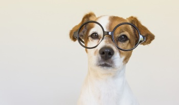 Die digitale Bibliothek von ISGUS...