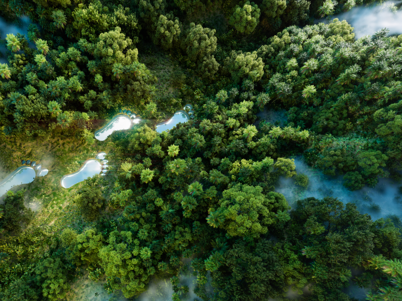 DIGITALE NACHHALTIGKEIT FÜR IHR WORKFORCE MANAGEMENT